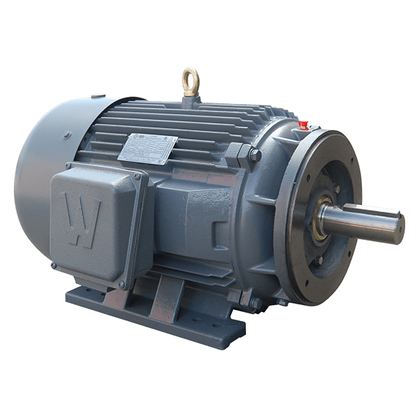 EP1-12-145TC - PEWWE1-12-145TC worldwide motor