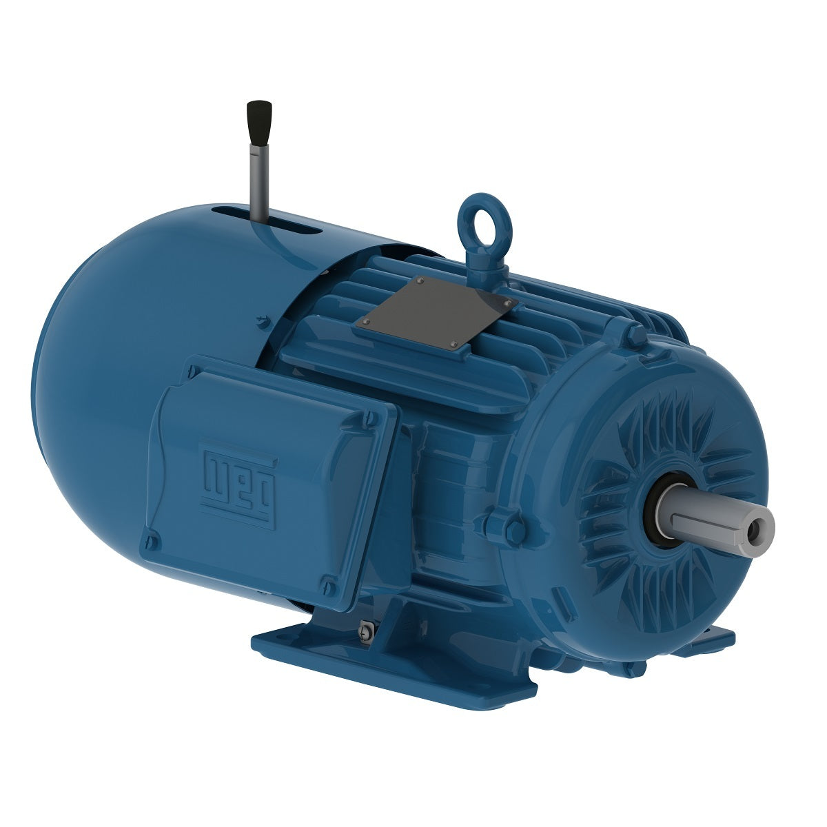 00109ET3EBM182T-W22 Weg Motor  13473873