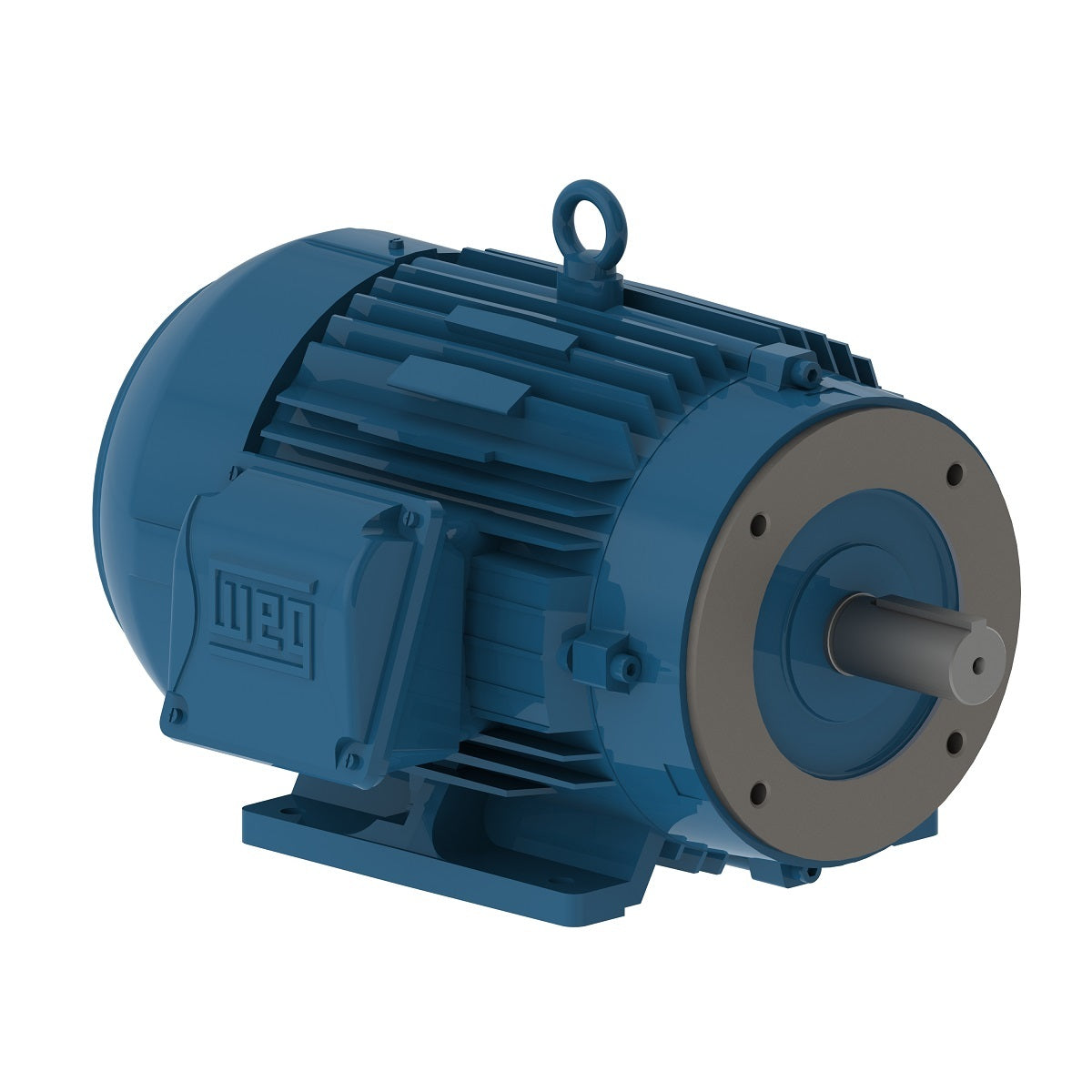 00112ET3E145TC-W22 Weg Motor 11606539