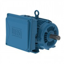 00152ES1E182T-W22 Weg Motor  13671536