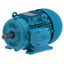 00152ET3WAL100L-W22 Weg Motor 14731240