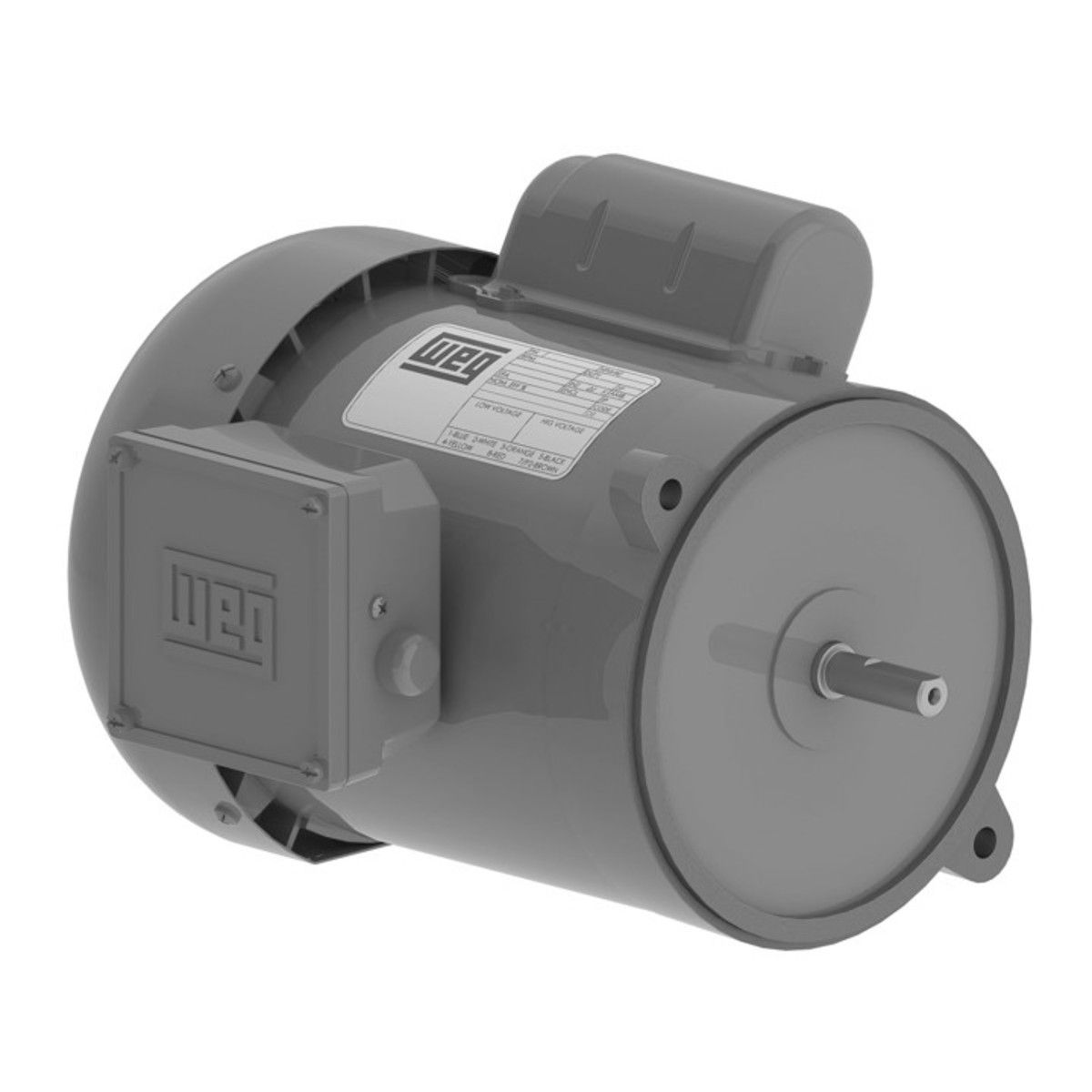 .3318ES1RAD56NZ Weg Motor 14649773