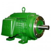 00218ET3FVD145TC weg vector motor