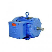 00218XT3E145TC Weg Motor 14275906