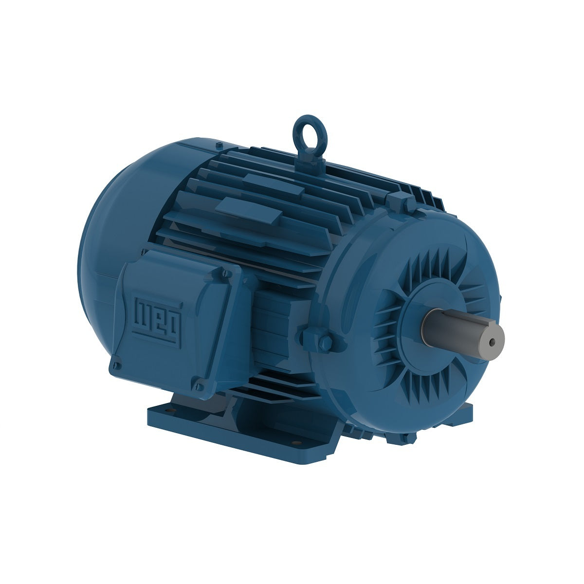 00309ET3E215T-W22 Weg Motor 11456657