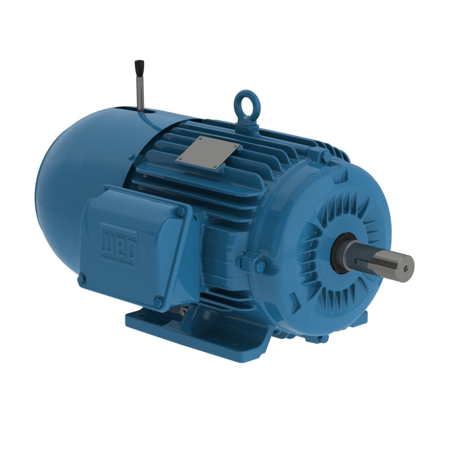 00336ET3EBM182T-W22 Weg Motor 13508637