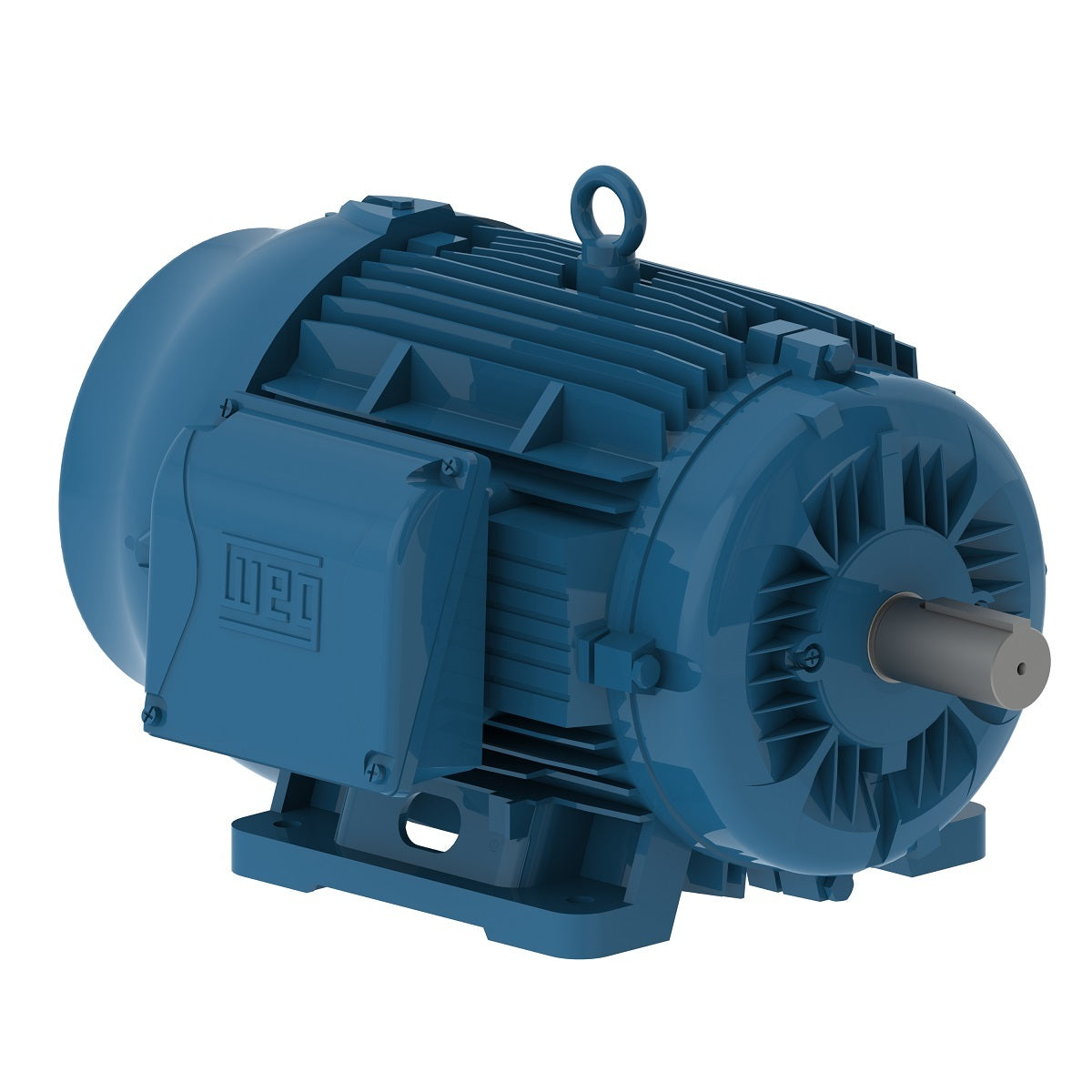 00509ET3E254T-W22 Weg Motor 12445774