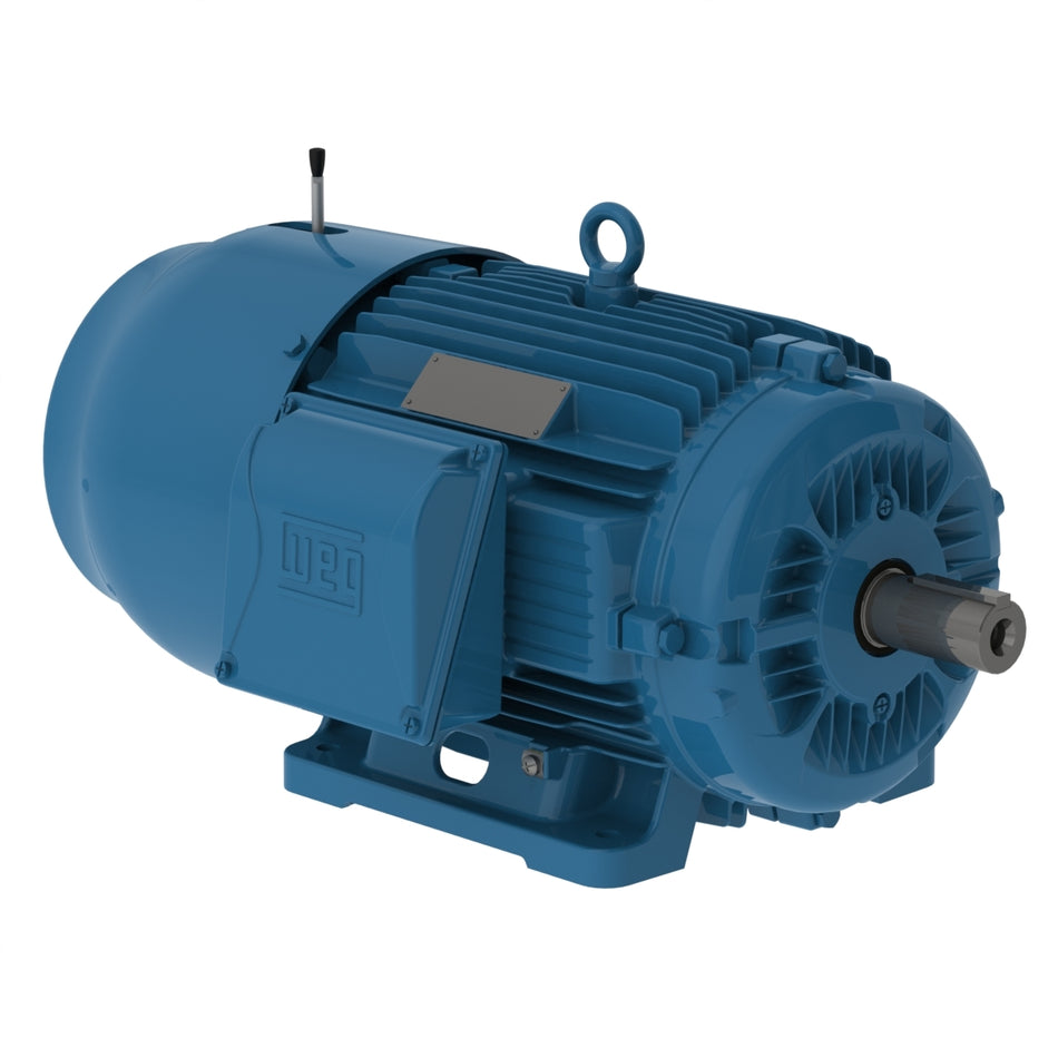 00509ET3EBM254T-W22 Weg Motor 13474048