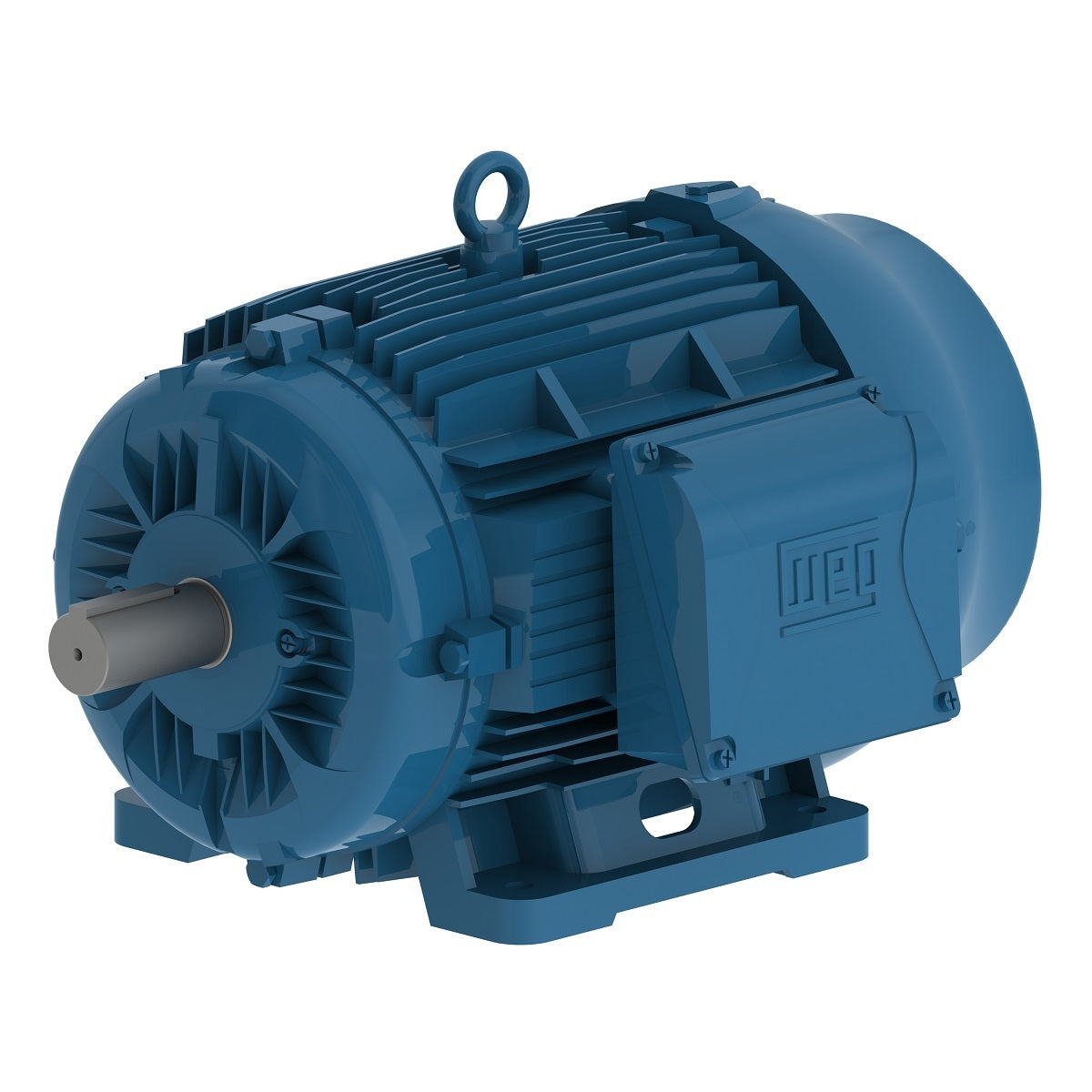 00509ET3Y160M-W22 Weg Motor 11616109