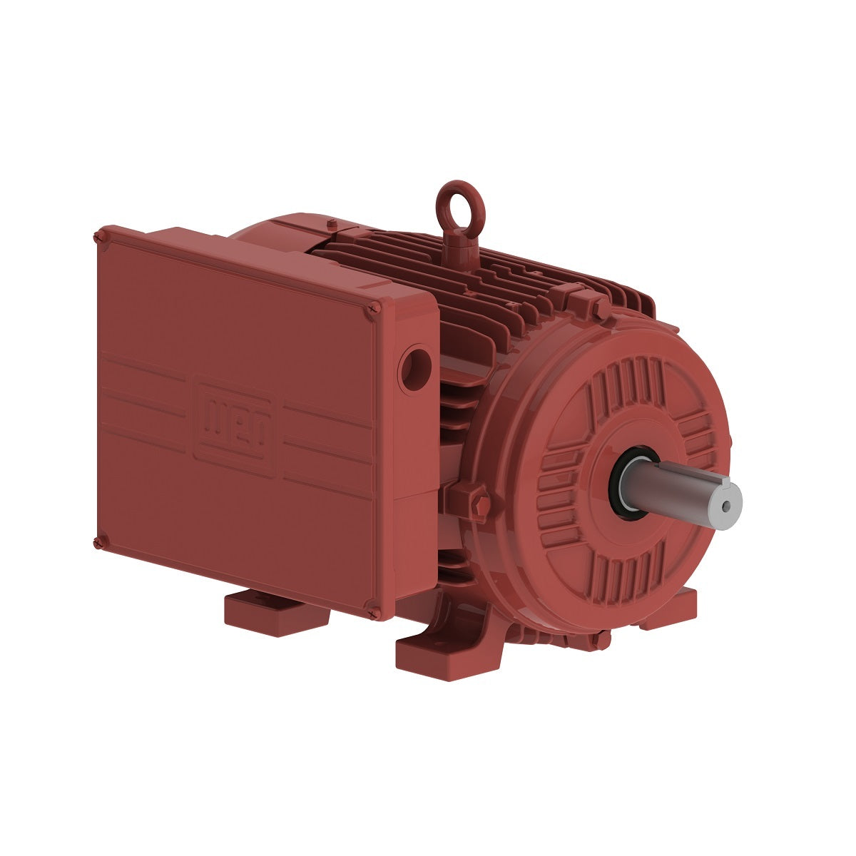 00518ES1DFD215Z-W22 Weg Motor 14672459