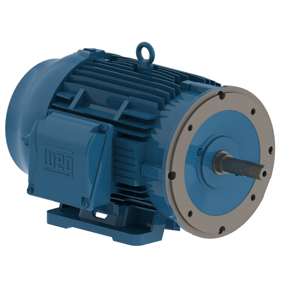 01518ET3E254JM-W22 Weg Motor 12603920