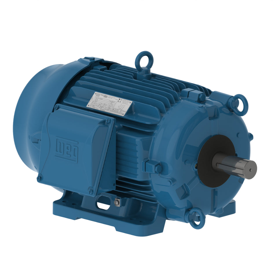 02518ET3HCT284TF1-W2 Weg Motor 12023976