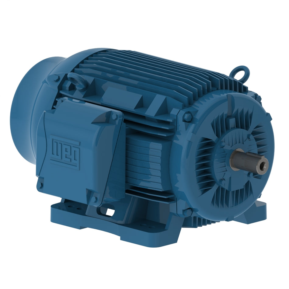 04009ET3E365T-W22 Weg Motor 11355727