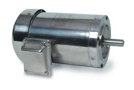 109067.00 Leeson DC Stainless Motor