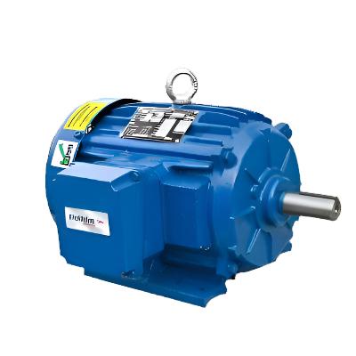 20NFM-3-1.5-12 Elektrim Motor 1.5HP 1200 RPM 3 Phase
