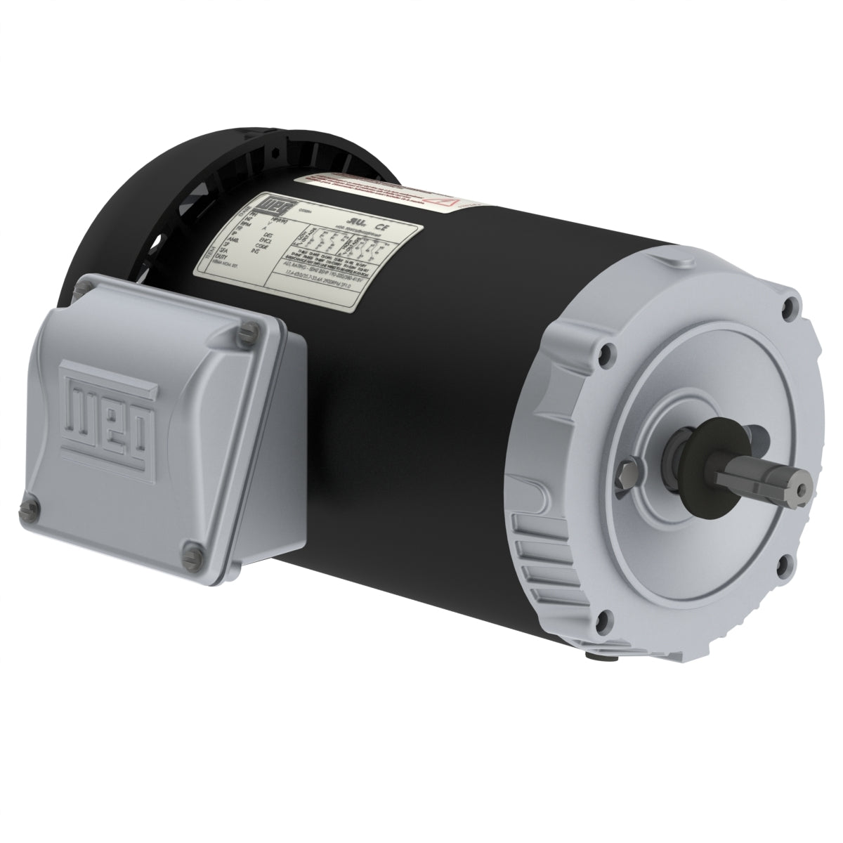 .3336ES3EJPR56C-S weg pump motor