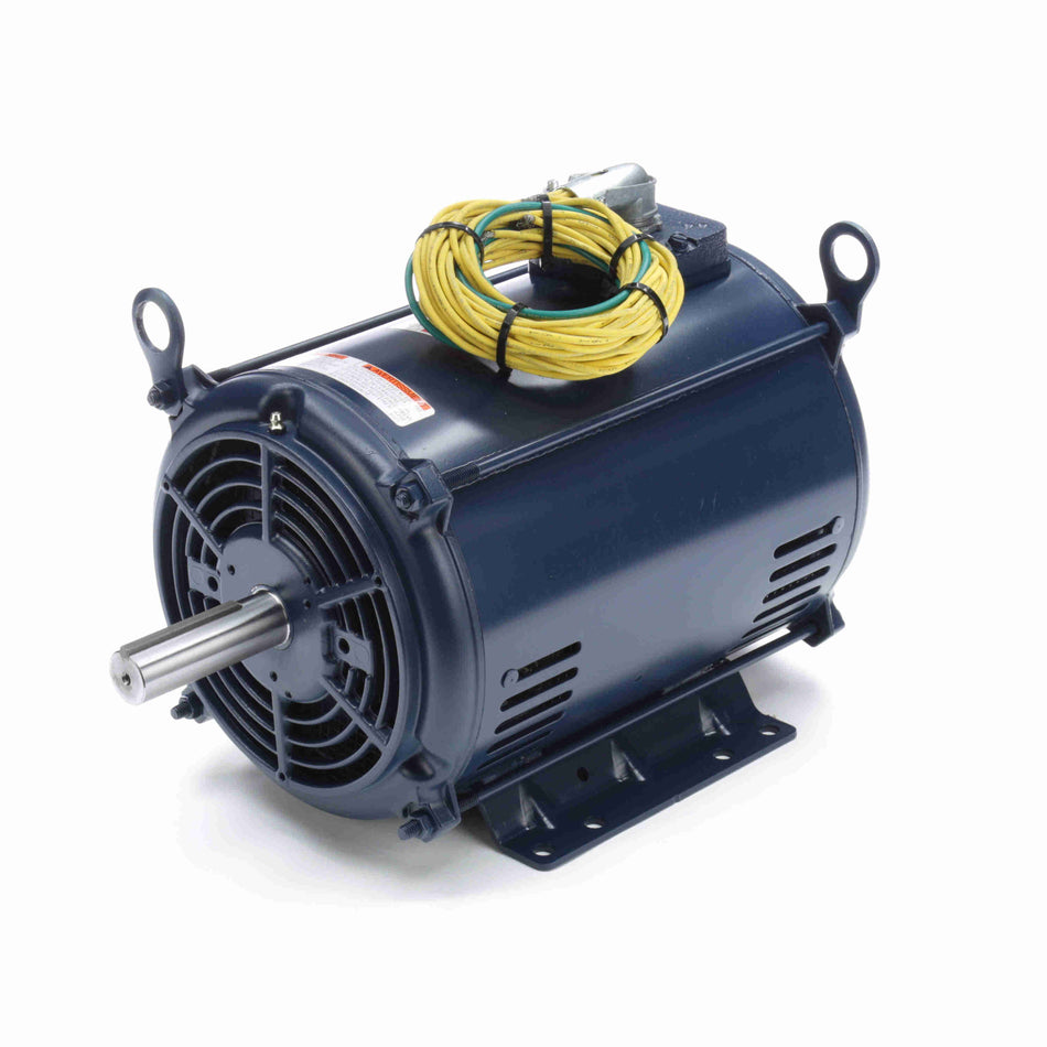 B131850 Marathon Motor