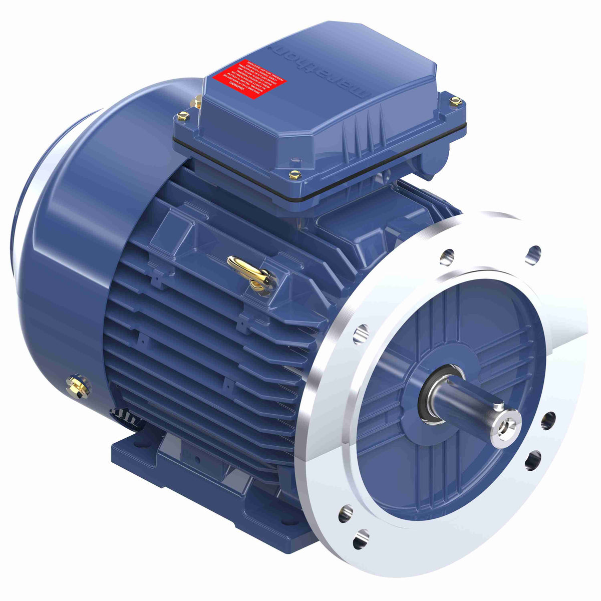 R822 Marathon Motor