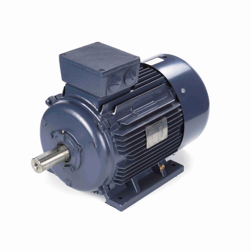 R341B Marathon IEC Motor | 25HP (18.7KW) TCA18P3AE211GAA009