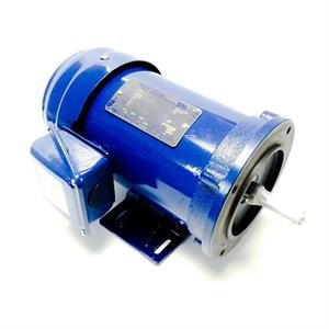 GP0024C Teco Westinghouse Motor - Square One Electric