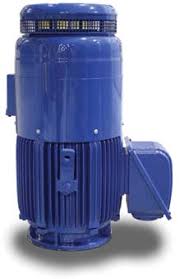 VHTP0304 Teco Westinghouse Motor - Square One Electric