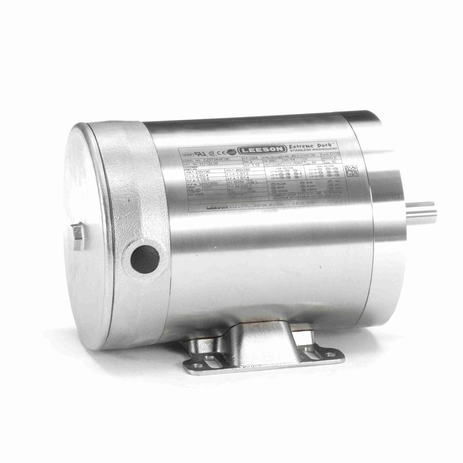 117122.00 Leeson Stainless Steel Duck Motor