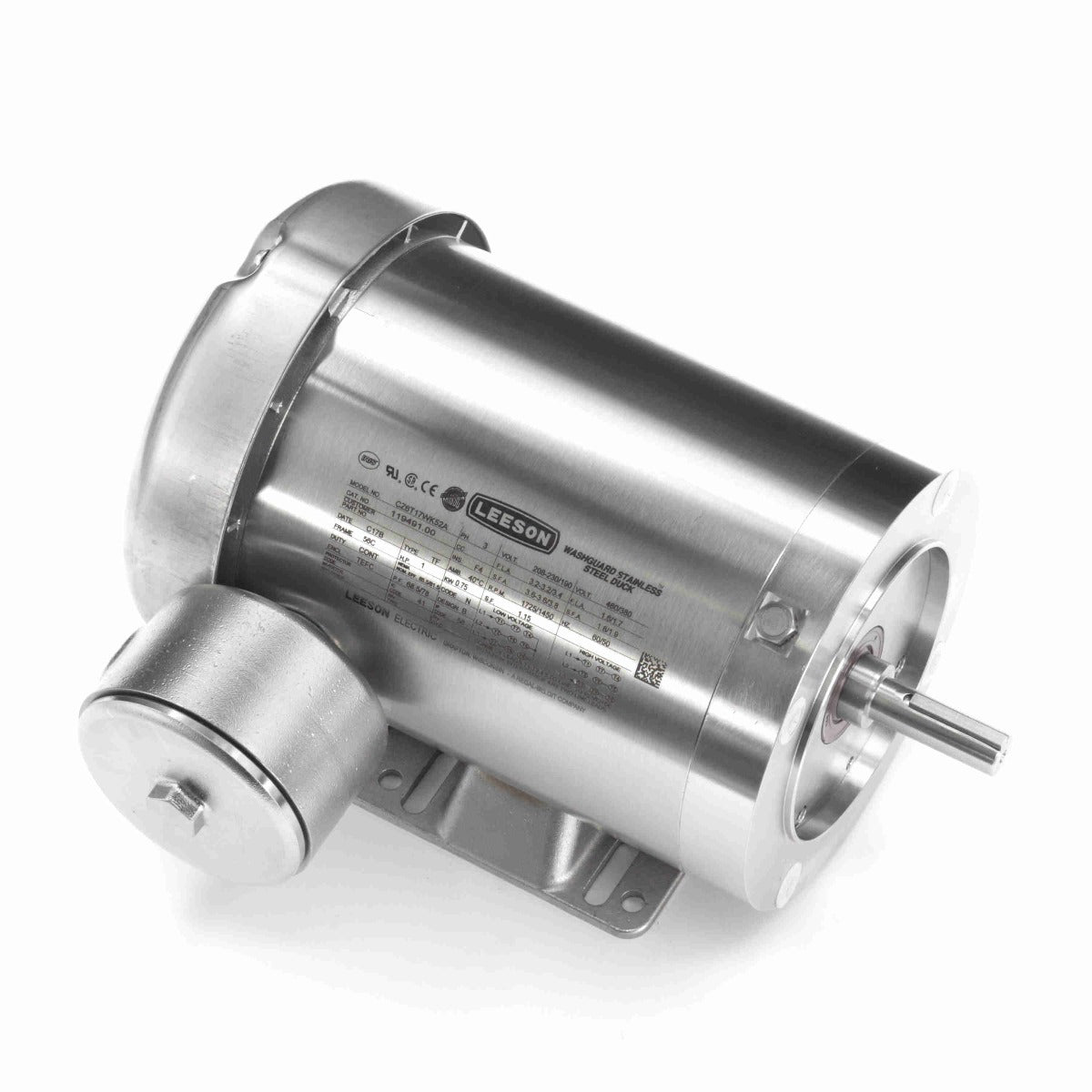 119491.00 Leeson 1HP Stainless Washdown Motor