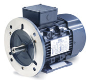 103409.00 Leeson Washdown Motor