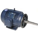 GT3424A Marathon 20HP JP Pump Motor