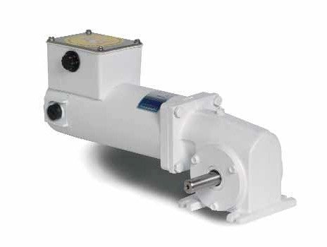 M1125276 Leeson Gear Motor 1/8HP 250RPM 31 TENV 90V DC - Square One Electric Motors & Pumps