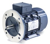 192021 Leeson Motor 1/3HP - .25KW 1800RPM 71 IP55 230/460V 3Phase - Square One Electric Motors & Pumps