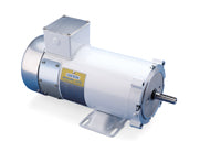 108226.00 Leeson DC Washdown Motor