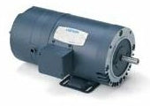 114167.00 Leeson TEFC 1PH Motor