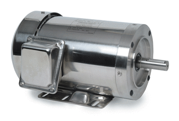 116349.00 Leeson Washdown Motor