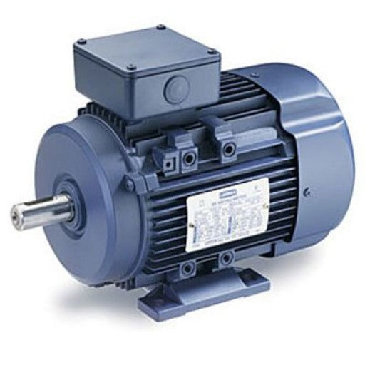 192011.00 Leeson Metric Motor