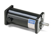 M1110014.00 Leeson DC motor