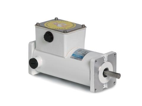 M1120184.00 Leeson Motor 1/6HP 1800RPM 31 IP55 12V DC - Square One Electric Motors & Pumps