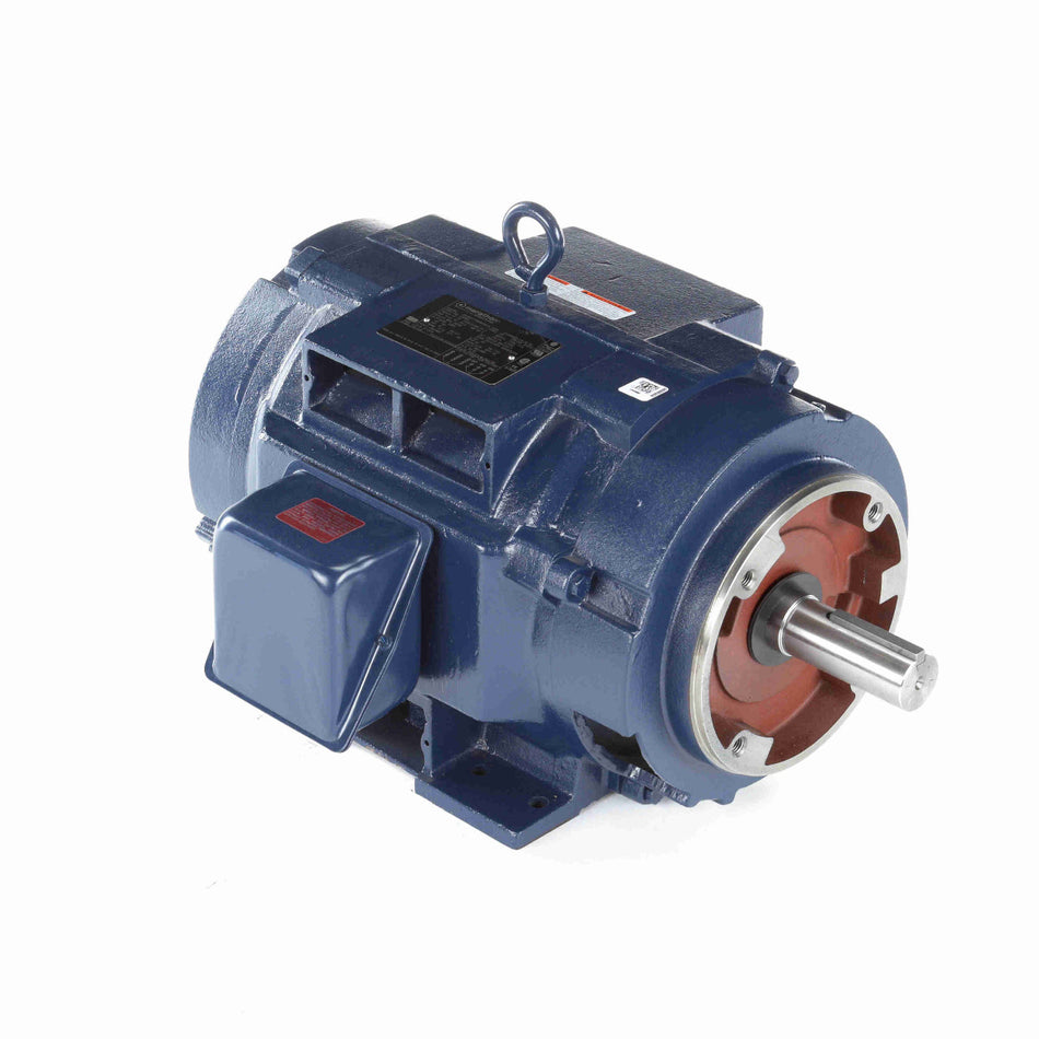 GT0210 Marathon AC Motor