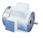 114312.00 Leeson Washdown Motor