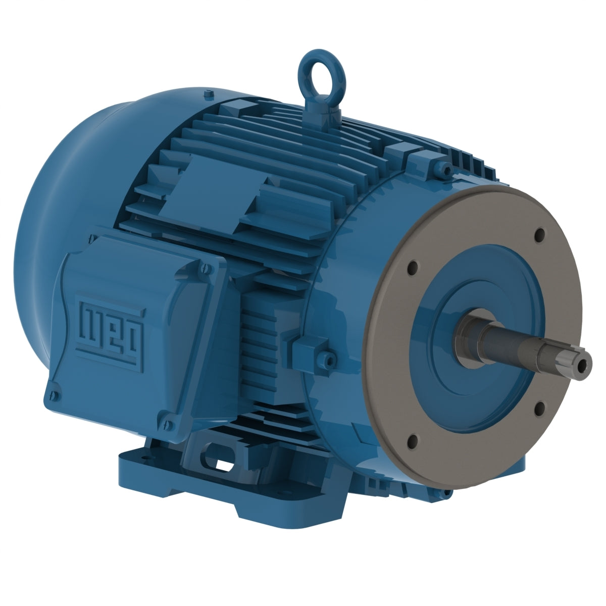 00156ET3E143JM-W22 Weg Motor 12598478