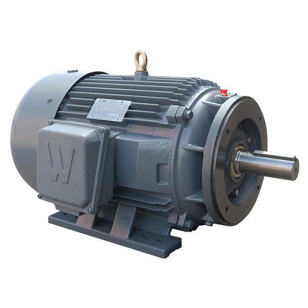 PEWWE3-18-182TC Worldwide Motor